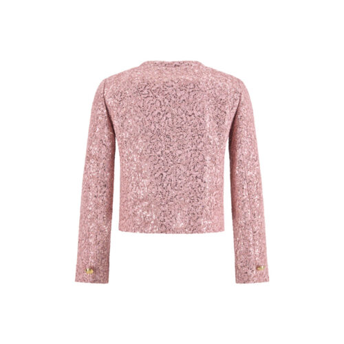 Alternative view of #152 Dusty Rose Sequin Lace Jacket